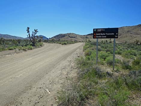 Gold Butte Road