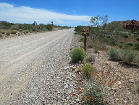 Gold Butte Road