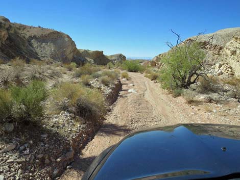 Gold Butte Wash Road