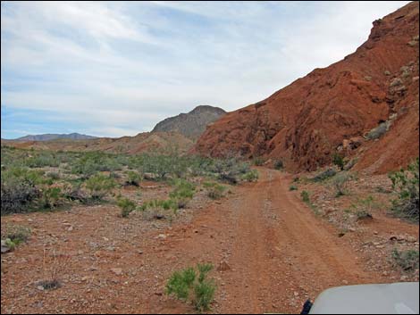 Gold Butte Wash Road