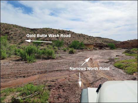 Gold Butte Wash Road