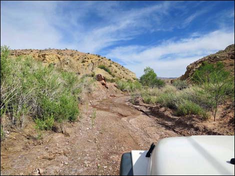 Gold Butte Wash Road