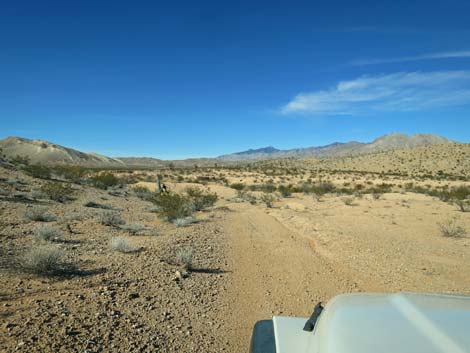 Greasewood Basin East Road