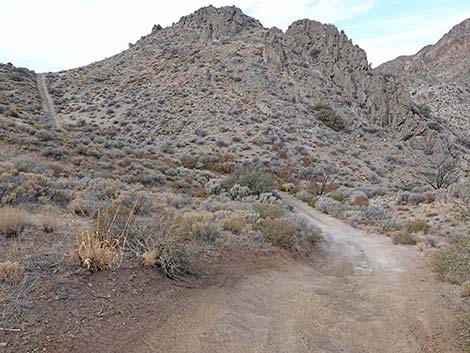 Hen Spring Canyon Road