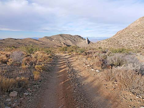 Hen Spring Canyon Road