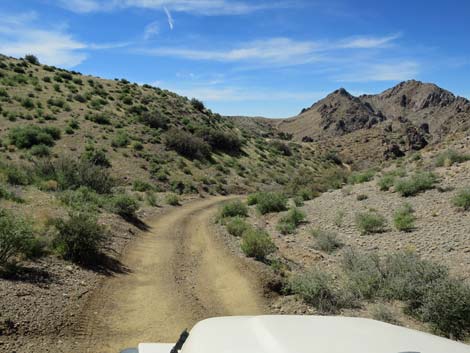 Hen Spring Canyon Road