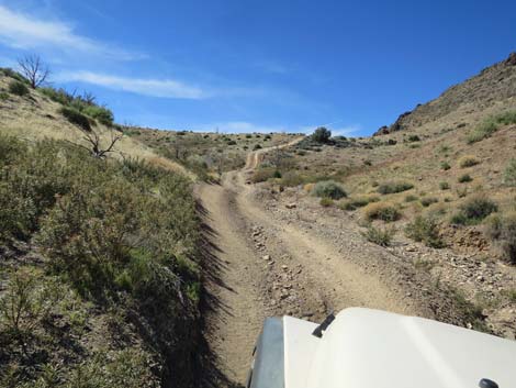 Hen Spring Canyon Road