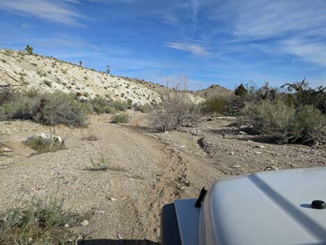 Horse Spring Road