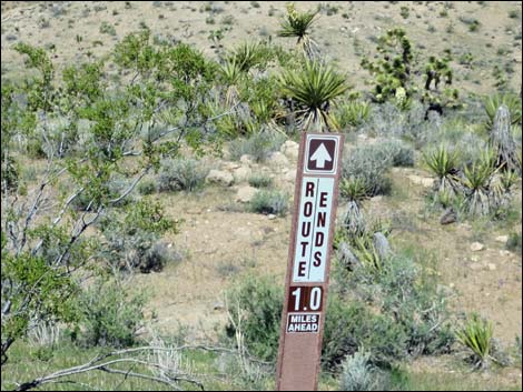 Lime Canyon Road