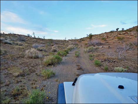 Lincoln Mine Road