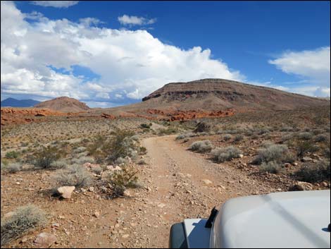 Mud Wash Shortcut Road