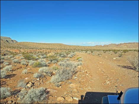 Mud Wash Shortcut Road