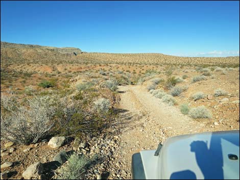 Mud Wash Shortcut Road