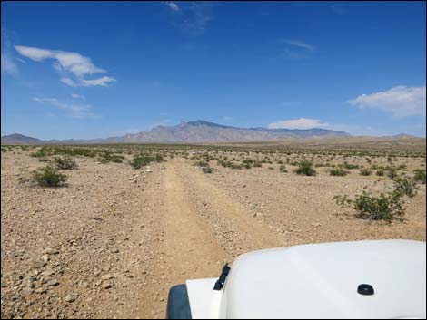 Narrows Road North