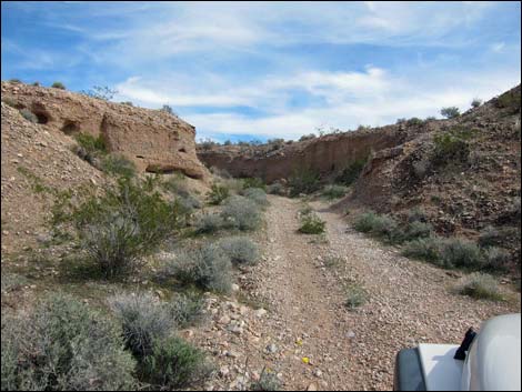 Narrows Road North