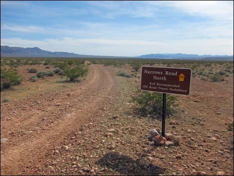 Narrows Road North