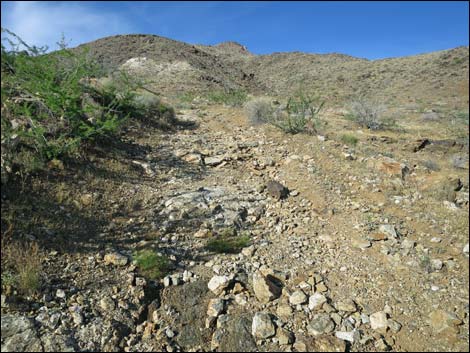 Nevada Mica Mine Road