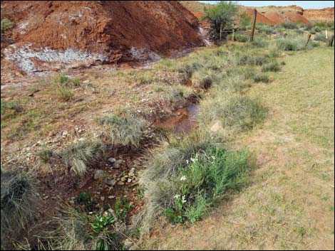 Red Rock Springs Road