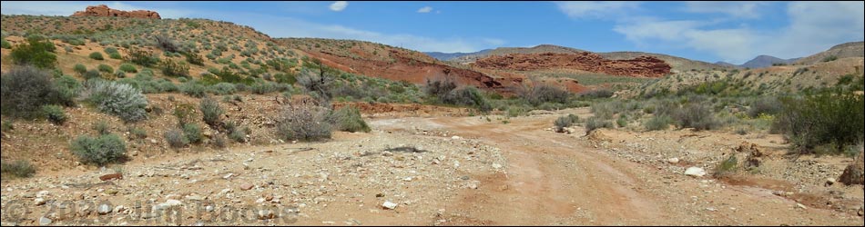 Red Rock Springs Road