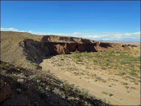 Red Bluff Spring Overlook Road