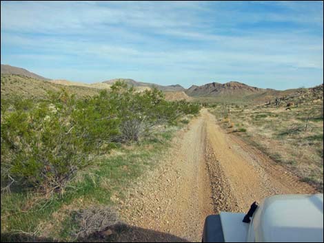 Red Bluff Spring Road