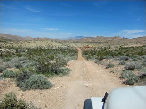 Red Bluff Spring Road