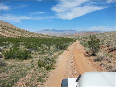 Red Bluff Spring Road