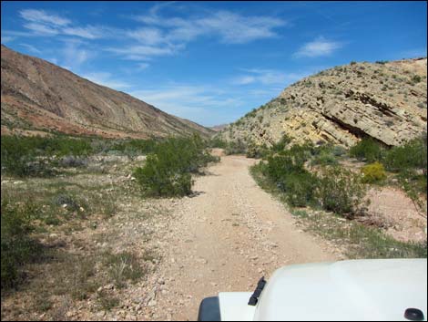 Red Bluff Spring Road