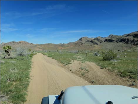 Red Bluff Spring Road