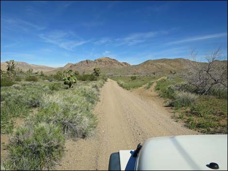 Red Bluff Spring Road