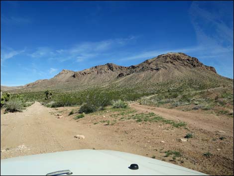 Red Bluff Spring Road