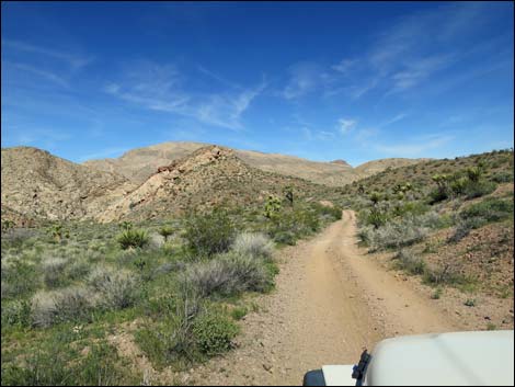 Red Bluff Spring Road