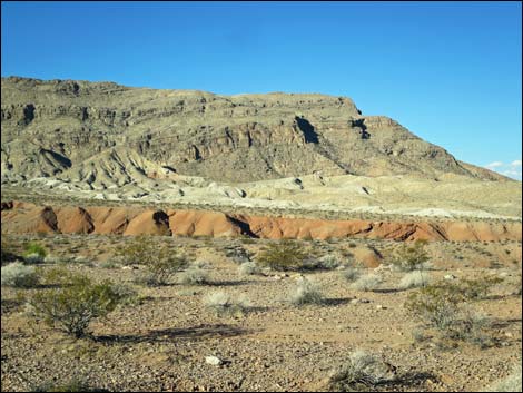 Red Bluff Spring Road