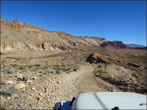 Red Bluff Spring Road