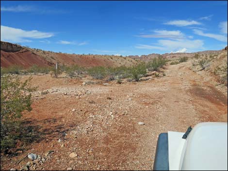 Red Bluff Spring Road