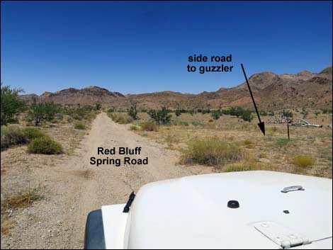 Red Bluff Spring Road