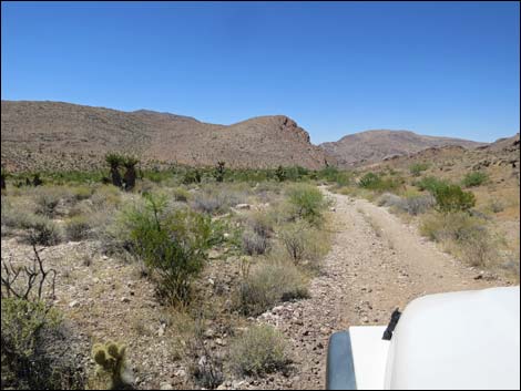 Red Bluff Spring Road