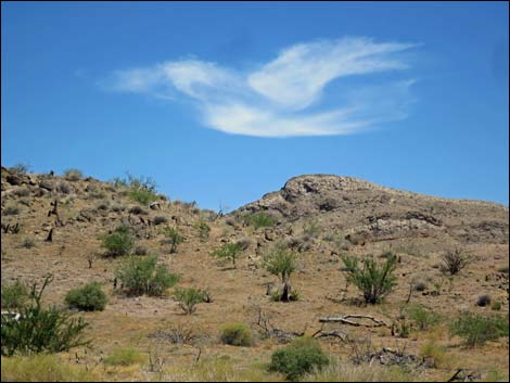 Red Bluff Spring Road