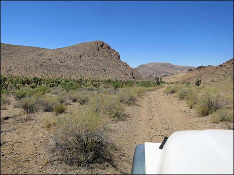 Red Bluff Spring Road