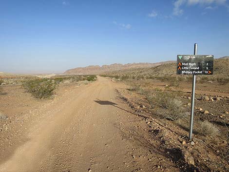 Red Bluff Spring Road