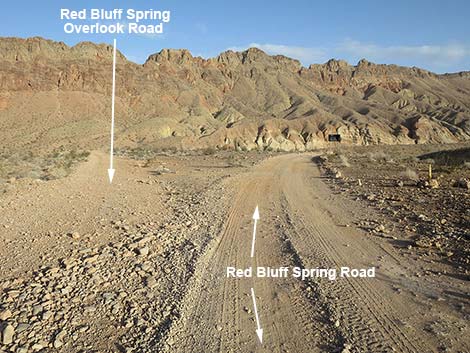 Red Bluff Spring Road