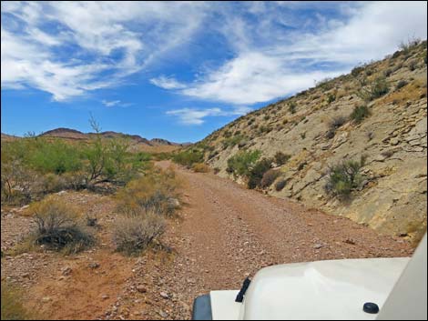 Red Bluff Spring Road