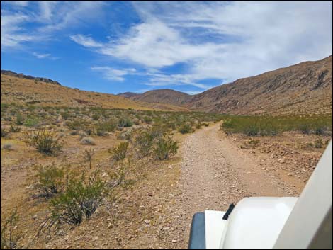 Red Bluff Spring Road