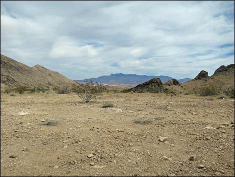 Red Bluff Spring Road