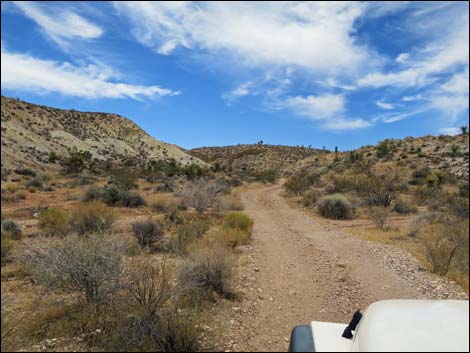 Red Bluff Spring Road