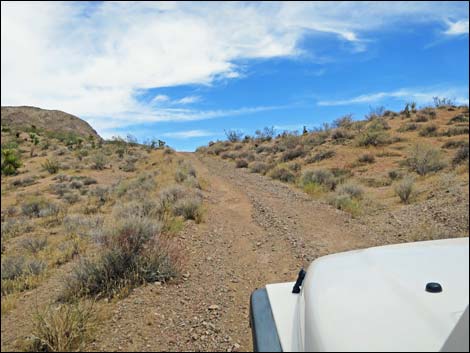 Red Bluff Spring Road