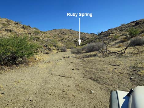 Ruby Spring Road