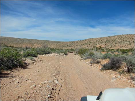 Sand Wash Road