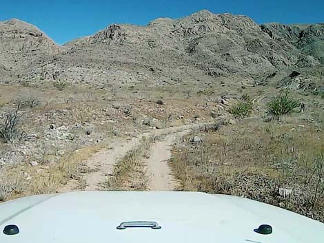 Tramp Mine Road