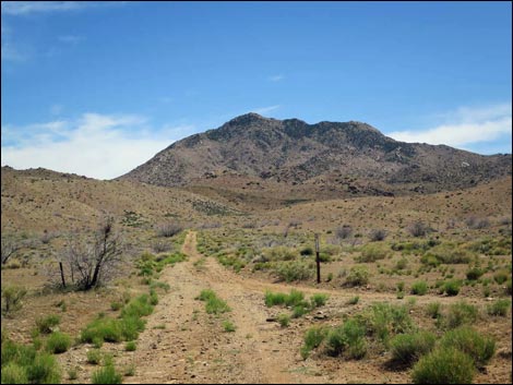 Mica Mine Road